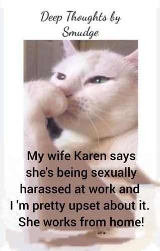 17:35:02 GMT-0600 (CST)