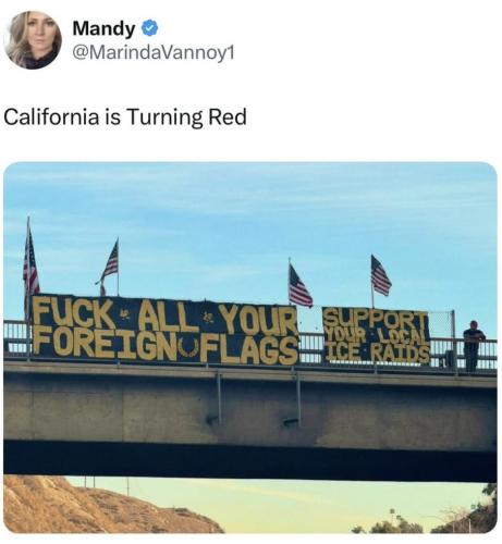 photo_2025-02-04_18-47-19