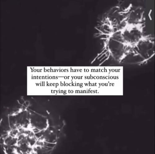 482245779_9321410837940718_2251949527835267952_n
