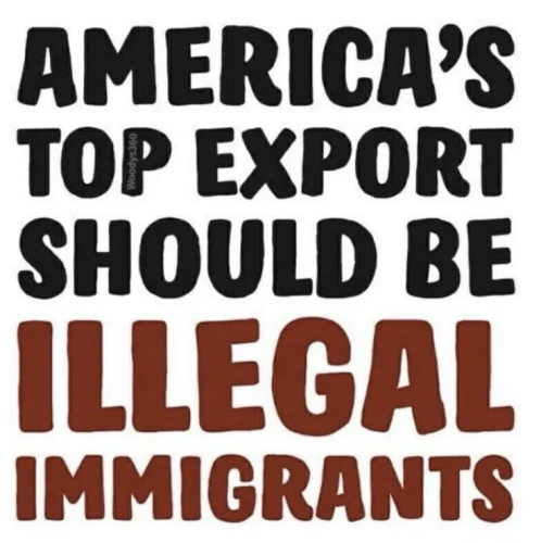 image_2025-03-16_091214029