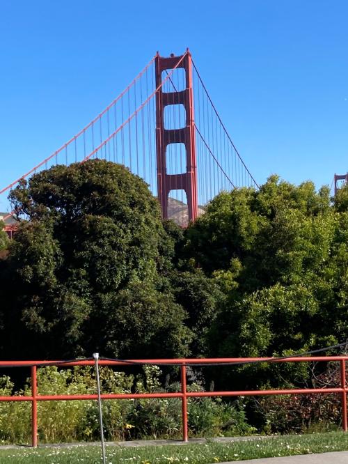 36F689B0-F865-4A88-AB47-F69F566589A0