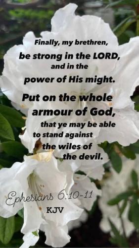 92270f48-c8c7-4959-b60d-e30acf24057f