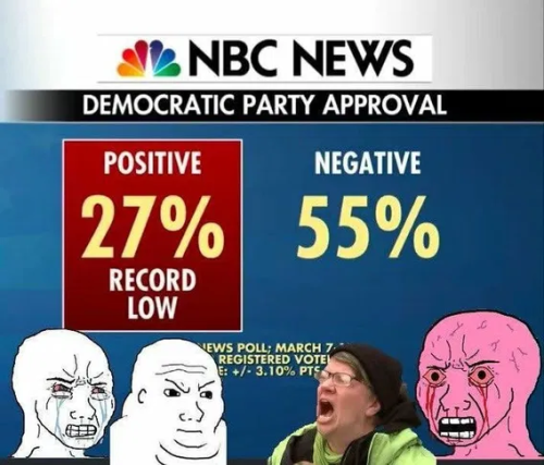 image_2025-03-20_061659839