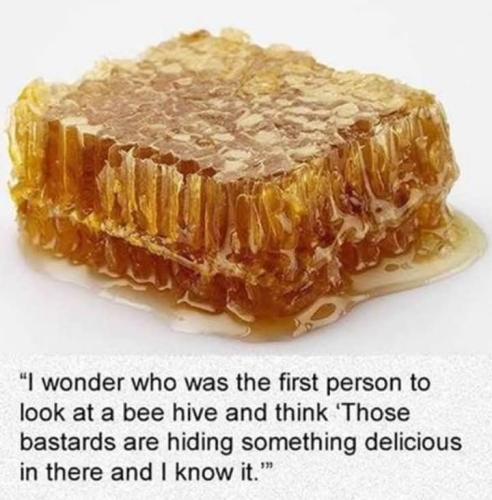 FB_IMG_1743275830658