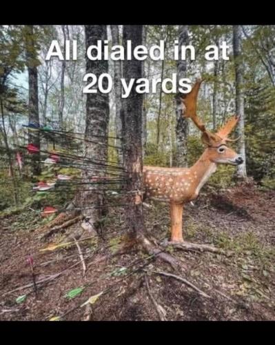 FB_IMG_1743017070504