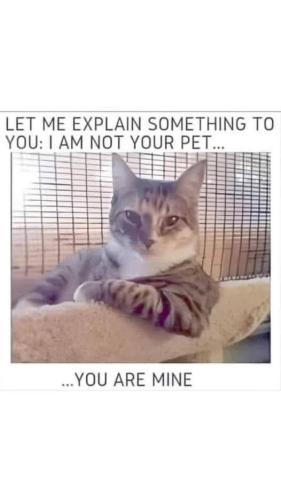 FB_IMG_1741292734302