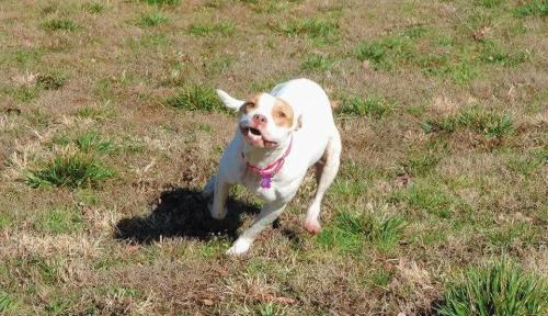 19:32:41 GMT-0600 (CST)