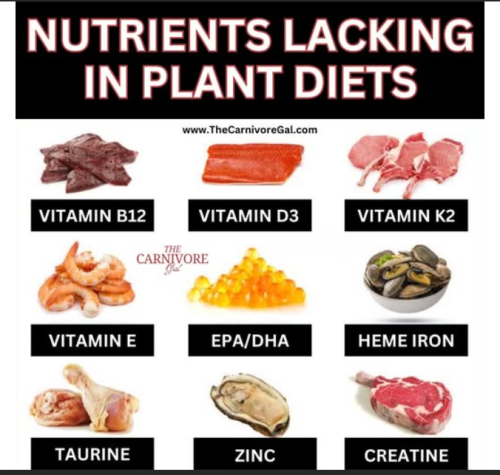 Screenshot 2025-03-12 101655