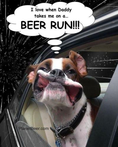 FB_IMG_1741192803284