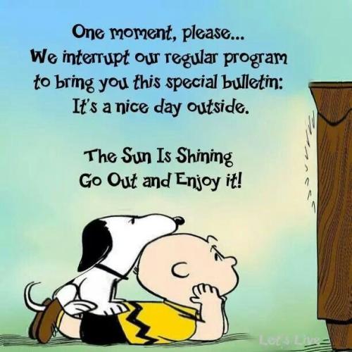 c72fba22b75e3c648cbe1fbd731cfa20