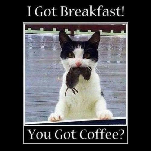 FB_IMG_1743271836315