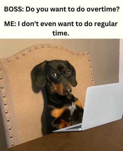 FB_IMG_1742073802937