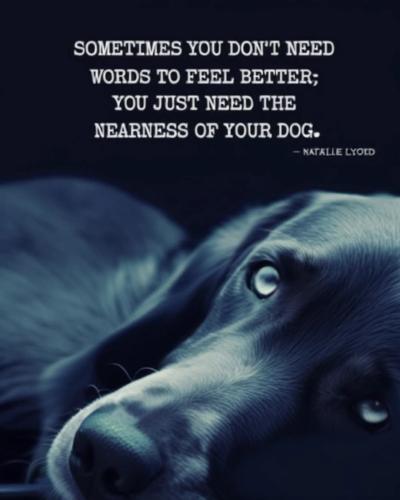 FB_IMG_1742682446035