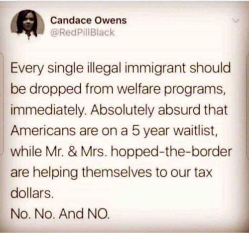 No_free_money_to_illegals