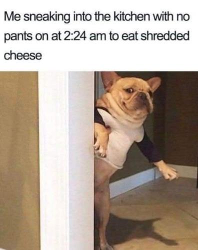 FB_IMG_1741014863343