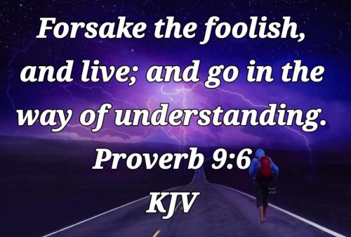 ba0caec6-ff99-4ab6-92e1-272bd5d2edef