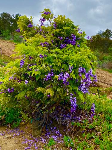 D5719BF5-770A-4041-A4F7-B3E8DCFC3DFA