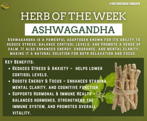 Screenshot 2025-03-19 101939