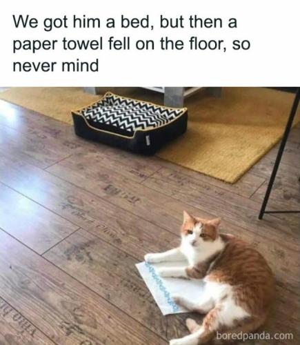 12c100826a30ed60ae76f5bf90a3cd45