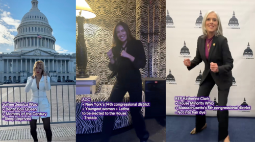 democrats choose your dipshit