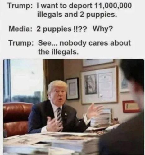 image_12B7FF90-6D98-4B7F-9D5F-F5FE144F118F