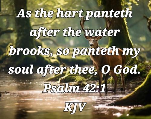 6627ff70-fca7-4680-b5dd-b4bc921d04d8