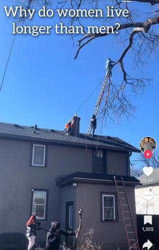 GridArt_20250315_070253639