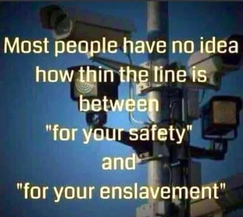 image_2025-03-31_062416085