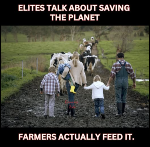 Screenshot 2025-03-18 162515