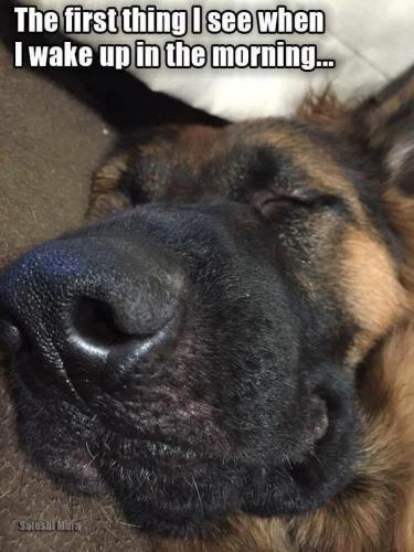 FB_IMG_1741192909116