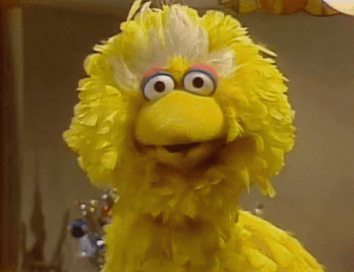big bird-sesame-street