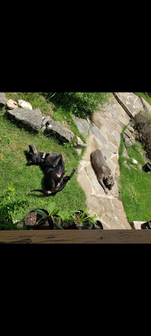 Screenshot_20250210_140908_Messages