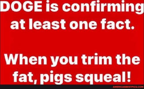 818dfa8403a88796cee76e7fef44b1cb0d9a9ef0c17ec48190e9665609b8a364_1