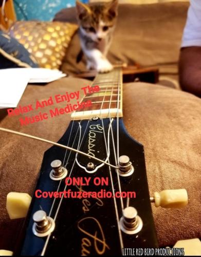 Screenshot_20250316_062900_Gallery