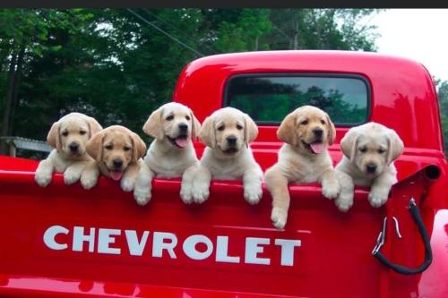 FB_IMG_1740930173773