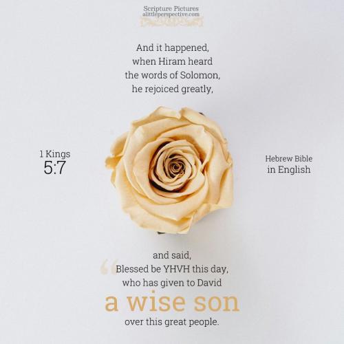 1-kin-5-7-HBE-unsplash