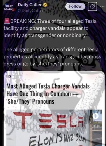 photo_2025-03-20_20-29-49