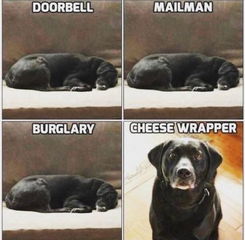 FB_IMG_1742057982909