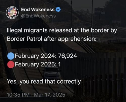 photo_2025-03-25_17-49-11