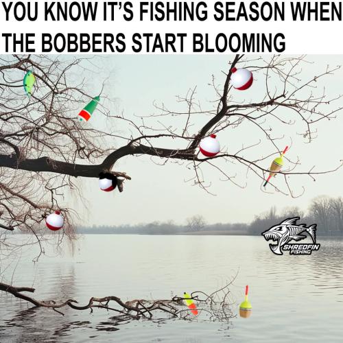 FB_IMG_1741212342724