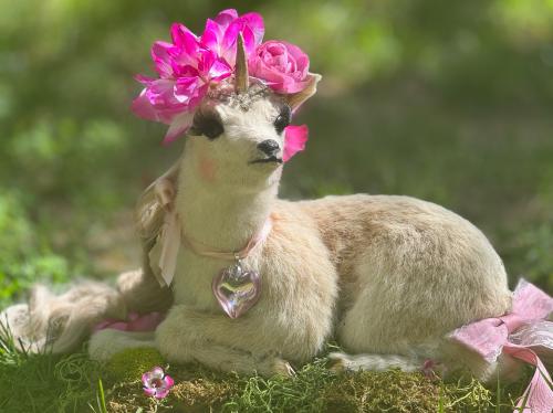 F66847DD-5518-45D2-A52F-998A35D9DD1C