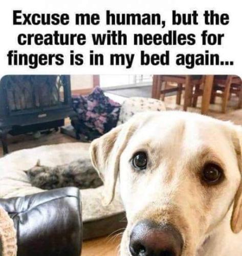 8a9f4b5eeb6e815dc59cb8505f6beace