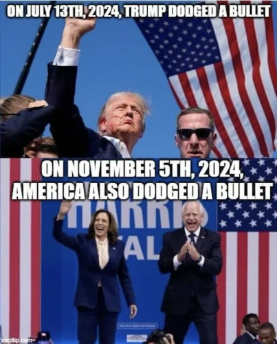 image_2025-03-12_061838575