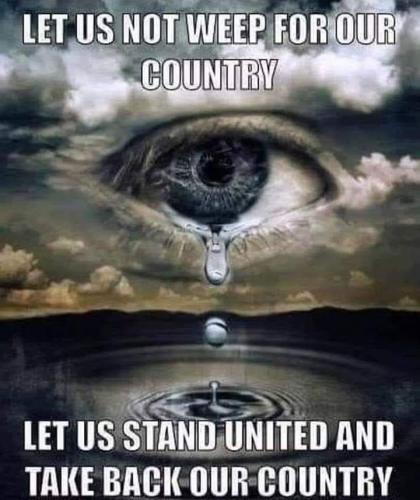 FB_IMG_1554079718494