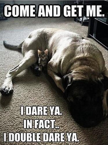 FB_IMG_1743256622973