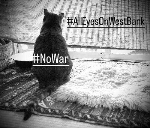 12:14:14 GMT-0500 (CDT)