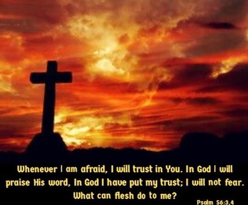 dea47bf7610b2b4132d8df86ec931b24