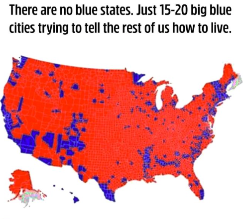 image_2025-03-16_091908398