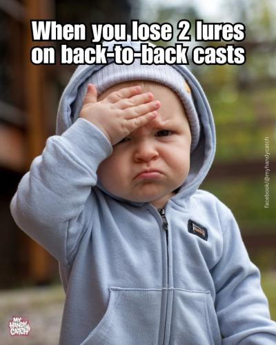 FB_IMG_1742406444593