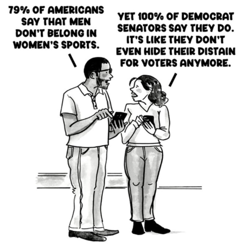 Screenshot 2025-03-13 084252